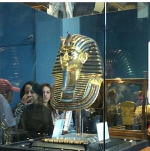 Meet your Posher, Robert